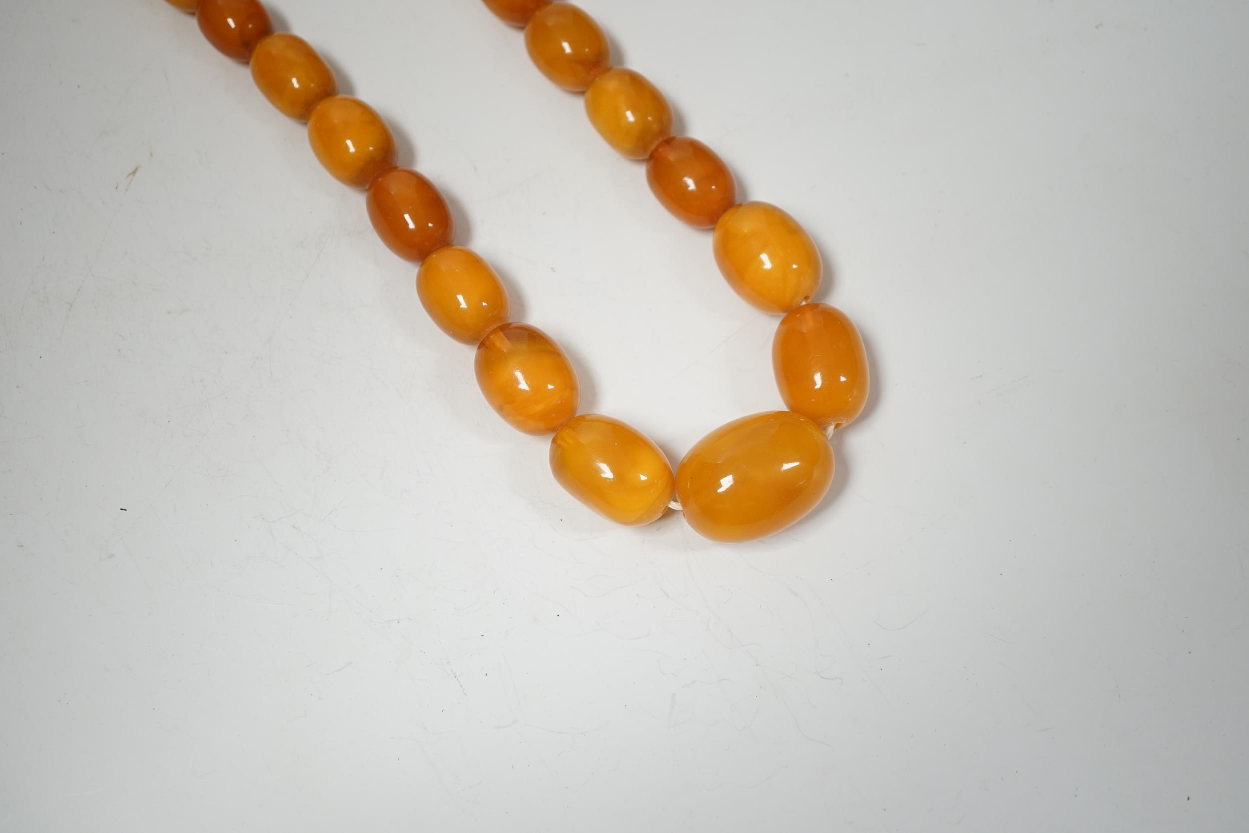 A single strand graduated oval amber bead necklace, 74cm, 83 grams. - Image 3 of 6