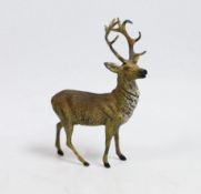 A large Austrian cold painted model of a Stag, 13cm high