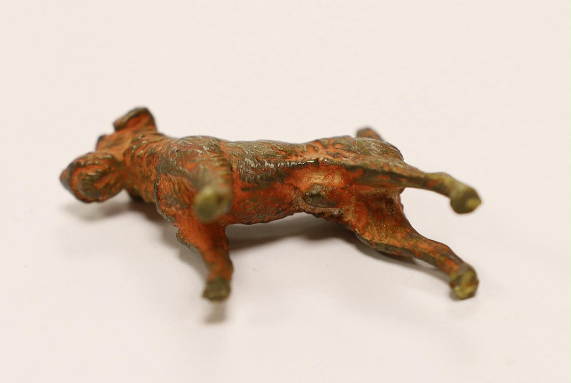 An Austrian cold painted bronze of a Airedale Terrier, approx 5cm wide - Image 3 of 3