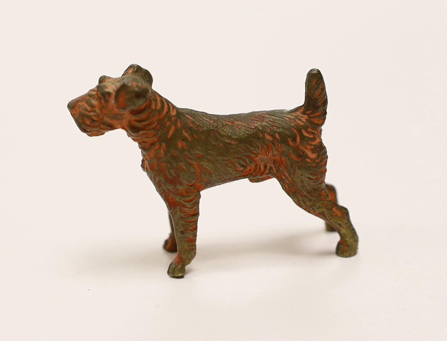 An Austrian cold painted bronze of a Airedale Terrier, approx 5cm wide - Image 2 of 3