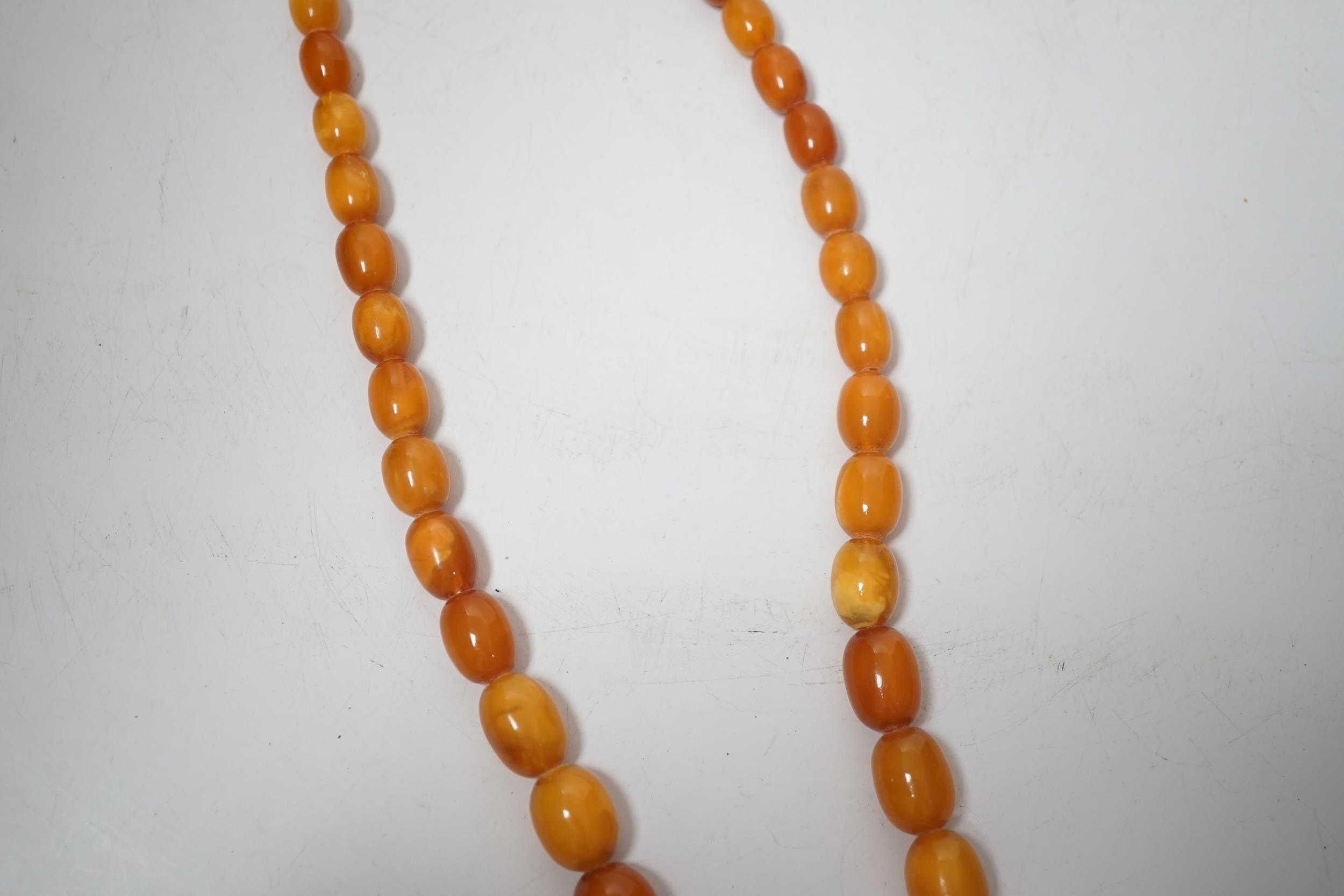 A single strand graduated oval amber bead necklace, 74cm, 83 grams. - Image 6 of 6