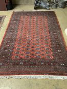 A Bokhara red ground rug, 240 x 155cm