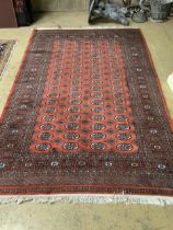 A Bokhara red ground rug, 240 x 155cm