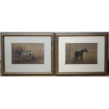 John Naylor (b.1960) pair of pastels, Studies of a badger and a horse, each signed and dated '89, 36