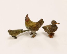 Three Austrian cold painted bronze models of a Duck, a Chicken and a Budgerigar, tallest 3.5cm
