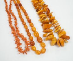 A single strand graduated amber bead necklace, 56cm, gross weight 34 grams, one other amber necklace