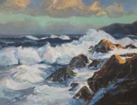 P. Richardson, oil on canvas, Waves breaking on the shore, signed and dated '69, 50 x 65cm