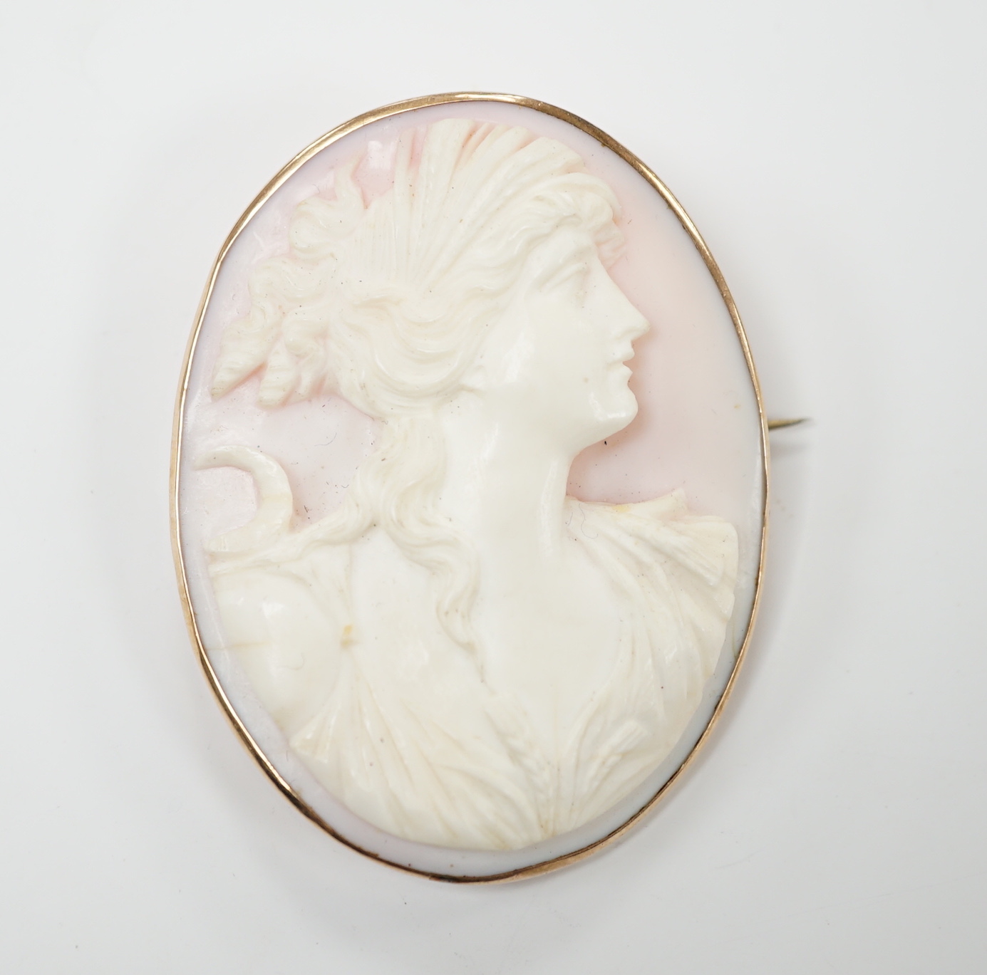 A yellow metal mounted oval cameo brooch, 6cm