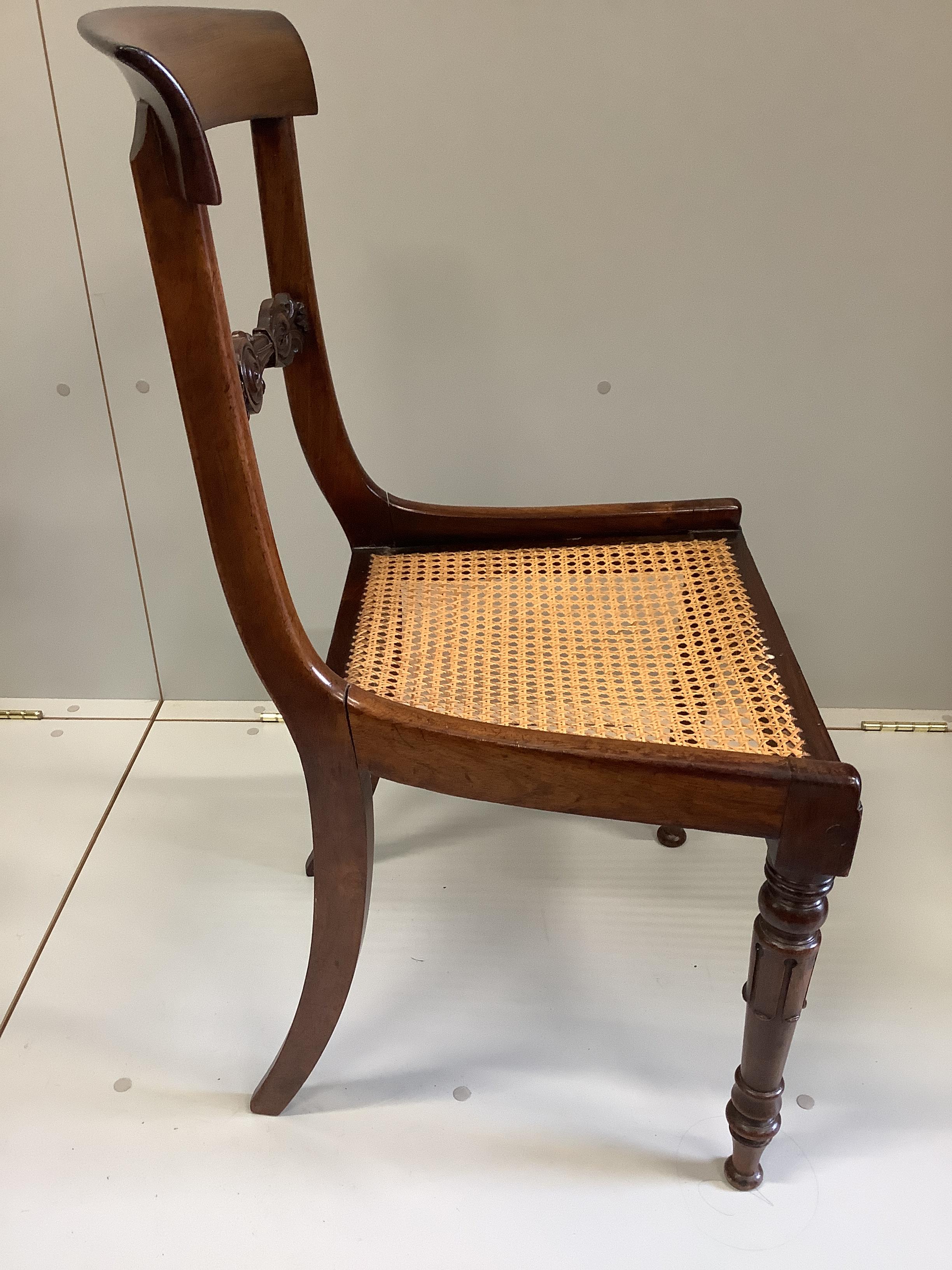 A set of six William IV rosewood cane seat dining chairs, with squab cushion seats, width 44cm, - Image 3 of 3