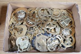A collection of fifty six horse brasses