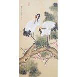 A 20th century Chinese hanging scroll watercolour on silk, two cranes on a pine tree, with brocade
