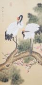 A 20th century Chinese hanging scroll watercolour on silk, two cranes on a pine tree, with brocade