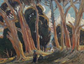 Sydney Carter (South African, 1874-1945), oil on board, 'A Cape Town Avenue', signed and inscribed