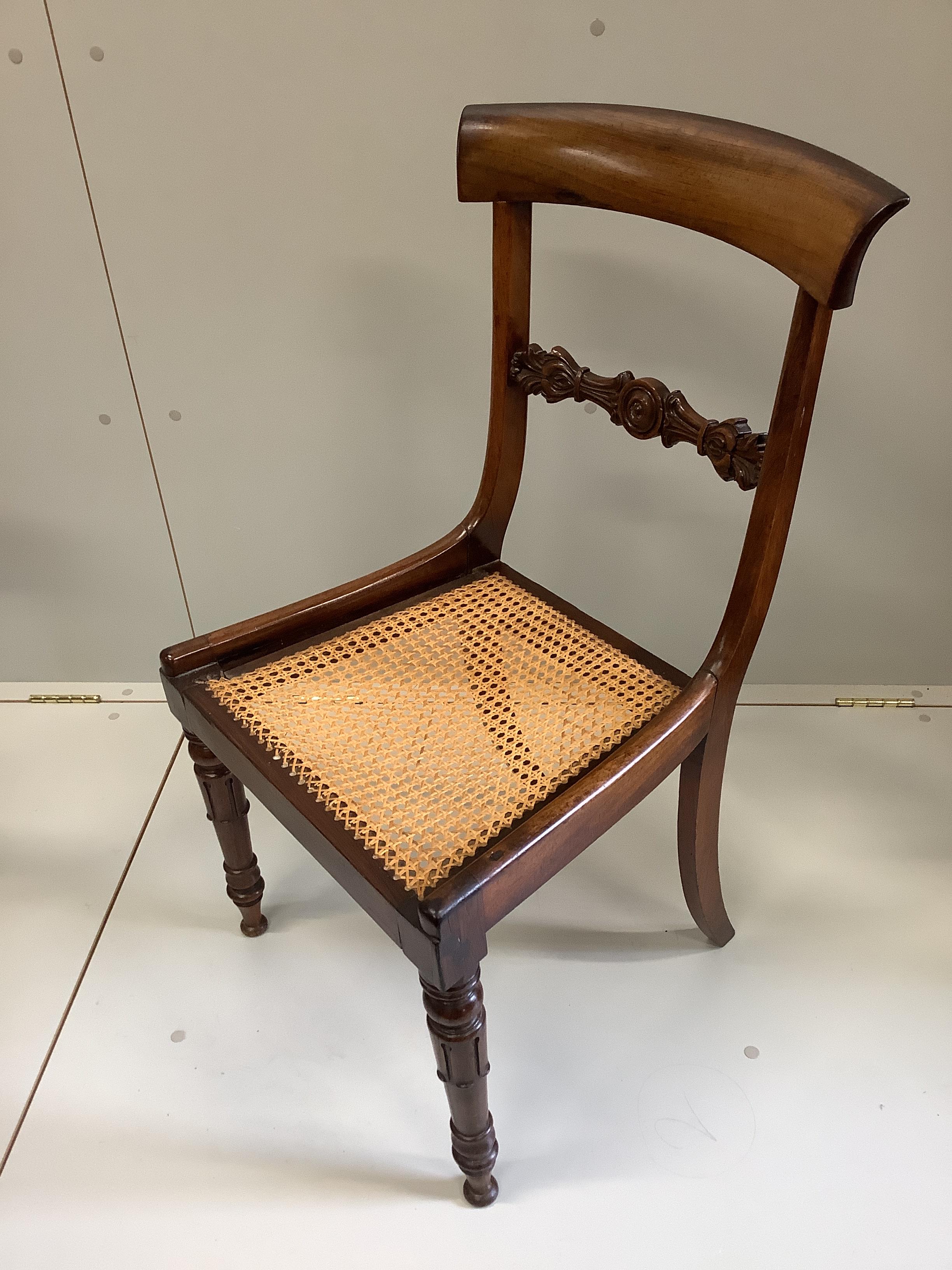 A set of six William IV rosewood cane seat dining chairs, with squab cushion seats, width 44cm, - Image 2 of 3