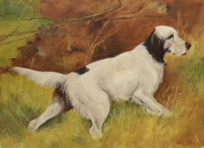 Jean Cooke, oil on board, Study of an English Setter, various inscriptions verso, unframed 51 x