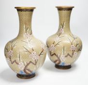 A pair of Chinese cloisonné enamel blossom decorated vases, 30cm high