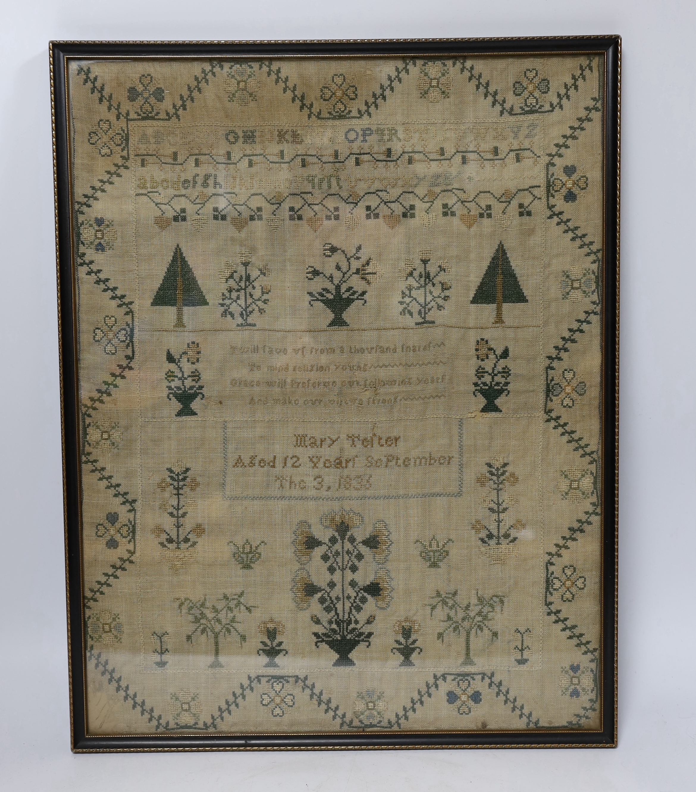 A framed William IV sampler, by Mary Telter, aged 12 years September the 3, 1833, with alphabet, - Image 2 of 3