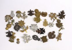 Thirty military cap badges including Royal Warwickshire, Hampshire Yeomanry Carabiniers,