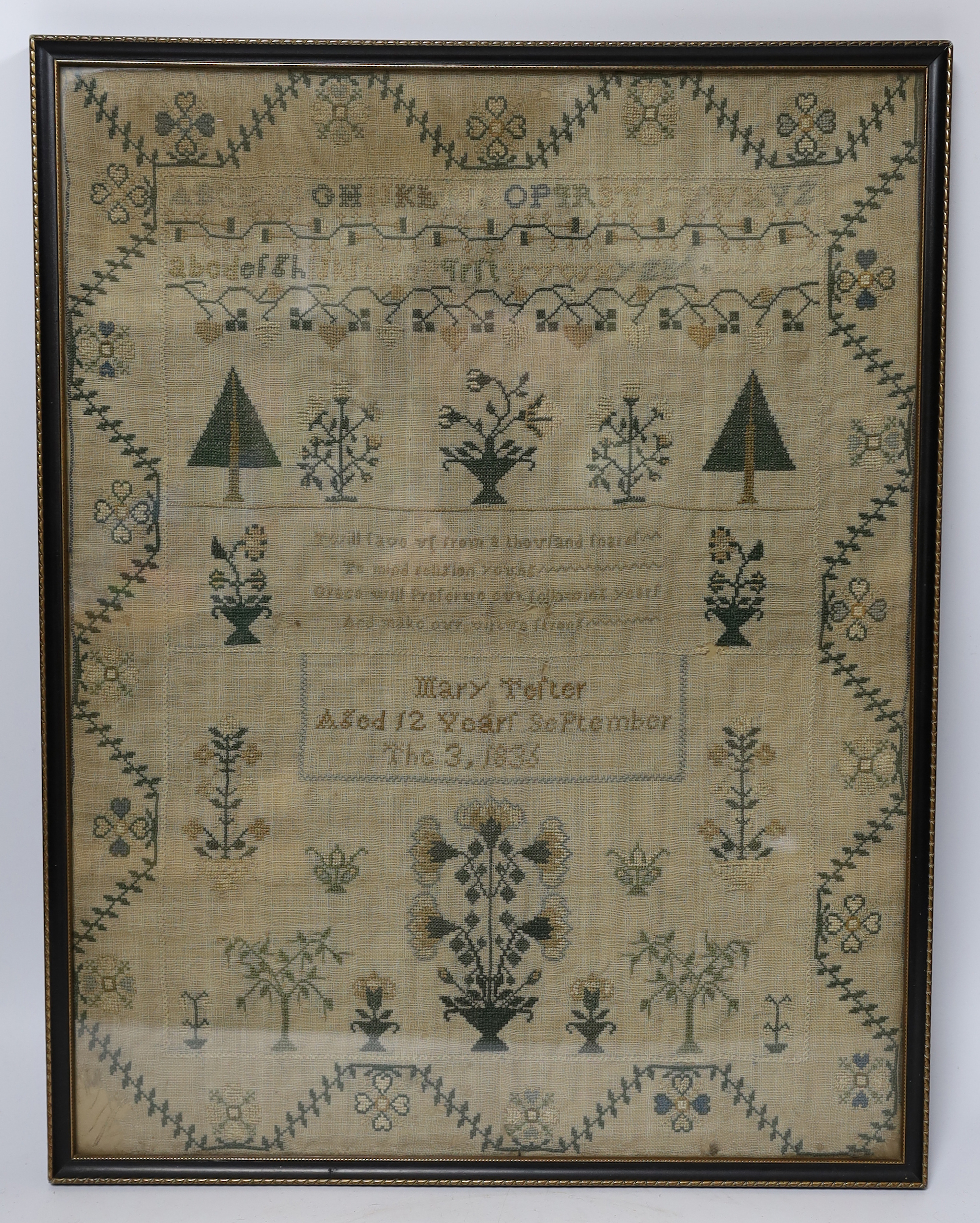 A framed William IV sampler, by Mary Telter, aged 12 years September the 3, 1833, with alphabet,