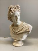 After the Antique, a faux marble classical bust, height 80cm