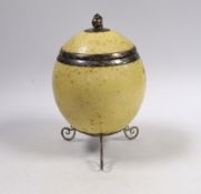 A cased Edwardian silver mounted ostrich egg, with silver mounted cover, Samuel Jacob, London, 1907,