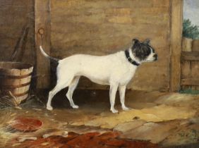 19th century English School, oil on board, Study of a terrier, monogrammed AGR and dated 1850, 16