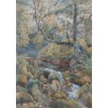 Follower of John Ruskin (1819-1990), heightened watercolour, Woodland stream, 49 x 34cm