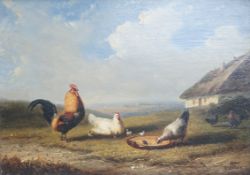Frans Van Severdonck (Belgian, 1809-1899), oil on board, farmyard scene with poultry, signed and