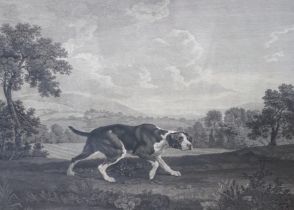After George Stubbs (1724-1806), engraving, 'The Spanish pointer', limited edition 55/225, publ.