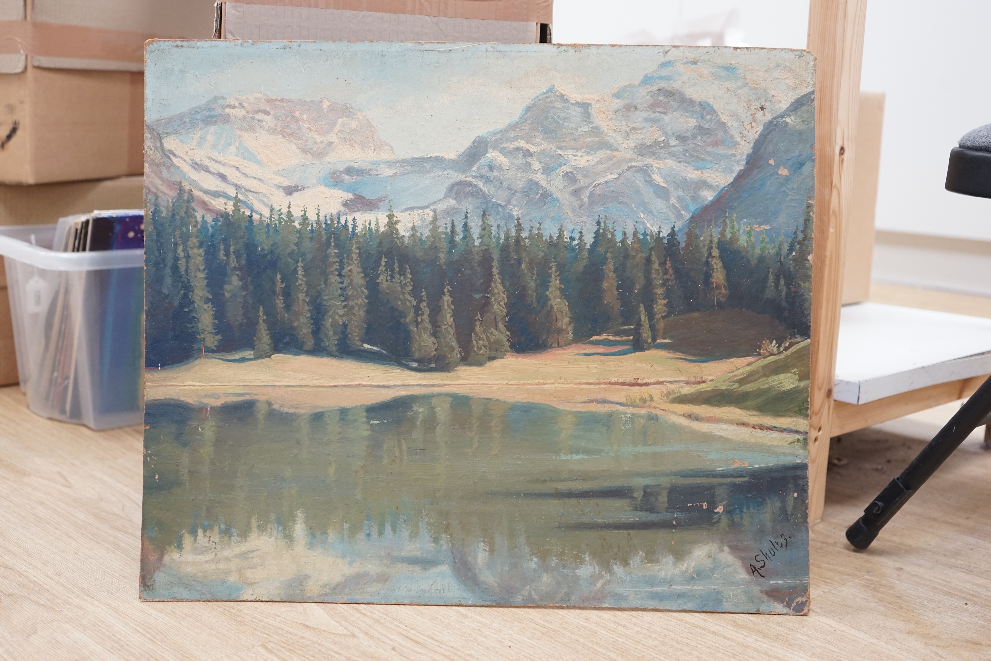 A. Shultz, oil on board, Swiss mountainous landscape, signed, unframed, 51 x 61cm - Image 2 of 3