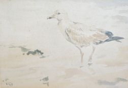 Richard Barrett Talbot Kelly (1896-1971), watercolour, Gull on the shore, monogrammed, 28 x 38cm
