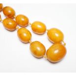 A single strand graduated oval amber bead necklace, 50cm, gross weight 81 grams.