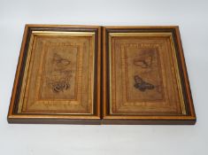 A pair of framed marquetry butterfly panels, initialled SVD., 22.5cm wide, 32cm high