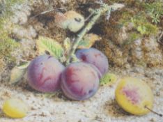 William Hough (1819-1897), watercolour, Still life of fruit, signed, 14 x 18cm