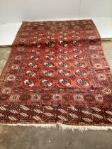 ** ** A Bokhara red ground carpet, woven with rows of elephants foot, 308 x 203cm (Worn at one