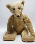 A Steiff bear c.1910, 65cm holes to front of arms, repairs to paw pads and nose, no button