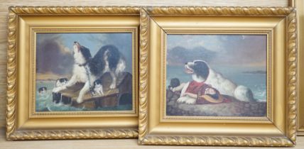 After Edwin Landseer (1802-1873), pair of oils on board, Border Collie with child and dogs in peril,