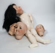 A Heubach doll and five bisque doll’s heads