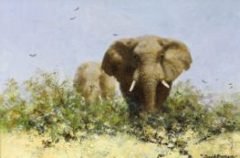 § § David Shepherd (British, 1931-2017) 'Elephant'oil on canvassigned16 x 23cm***CONDITION