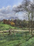 Martin Taylor (b. 1954), finely detailed watercolour, 'Brixworth Church from Reg's Field', signed