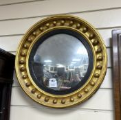 Two Regency style giltwood convex wall mirrors, larger diameter 45cm
