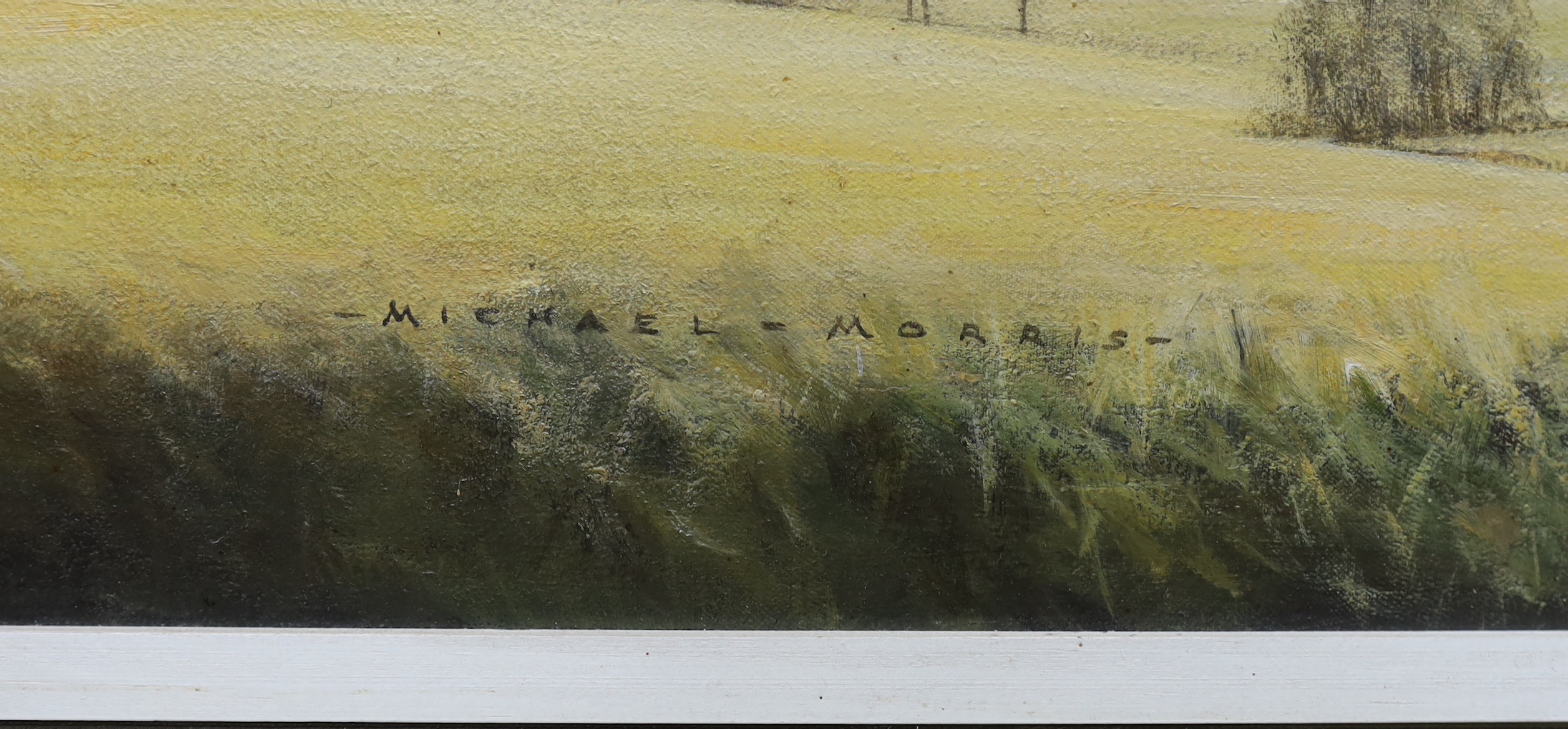 Michael Morris (1938-2010), oil on canvas, 'Wolstonbury Hill, Sussex', E. Stacy-Marks label verso, - Image 3 of 5