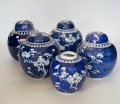 Five Chinese blue and white prunus jars and covers