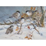 * * Cees Roorda (Dutch, 1942-), watercolour, ‘’Blue tits in a snowy landscape’’, signed, 22 x 30cm