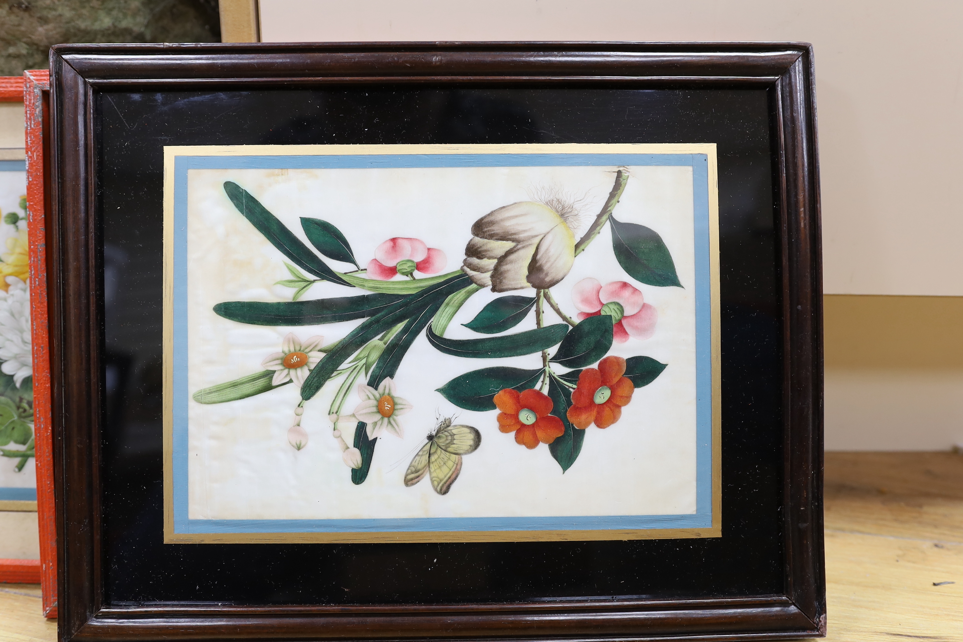 Chinese School, three gouaches on pith paper, Flowers and butterflies, 16 x 26cm - Image 3 of 5