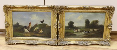 19th century English School, pair of oils on board, Fowl and ducks, label verso, 16 x 23cm