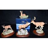 FOUR BORDER FINE ARTS DEER FIGURES: 'Fallow Buck' model L73, limited edition 92/850 by James Harvey;