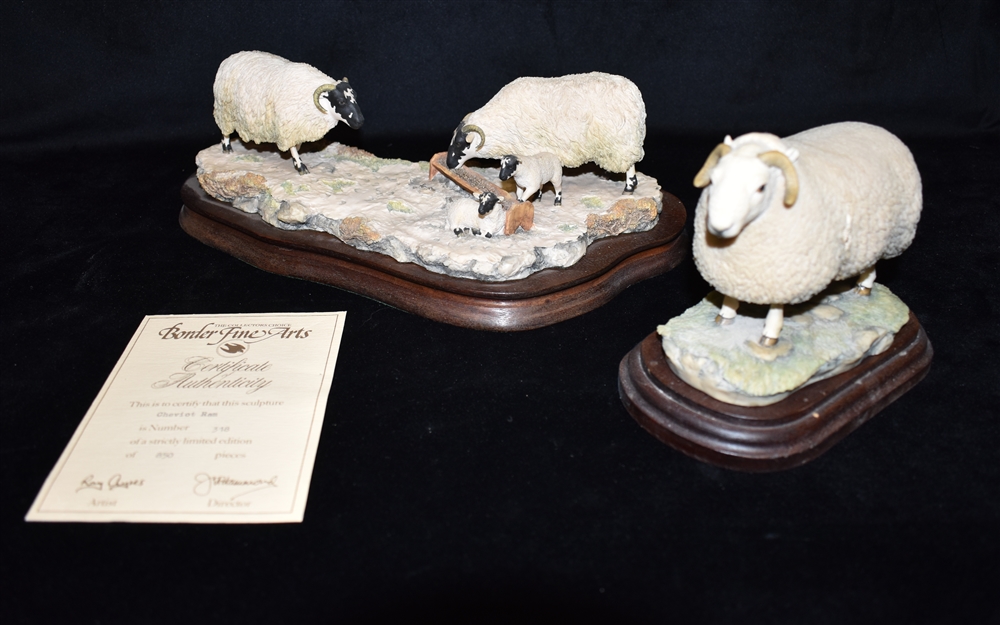 A BORDER FINE ARTS GROUP model 1/13 'Early Lambs, Late Snow'; and a limited edition Cheviot Ram