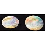 A PAIR OF OVAL PORCELAIN PLAQUES with painted decoration of fish signed 'A H Wright', [Albert H