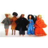 A PIPPA DOLL COLLECTION comprising five dolls and a quantity of clothing and accessories.